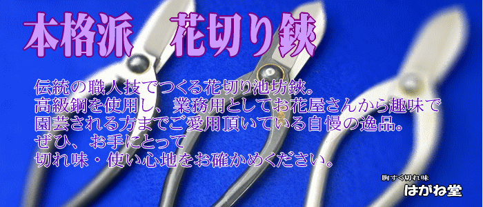 伝統の職人技で造る花切り用鋏。高級鋼を使用し業務用としてお花屋さんから園芸用まで多くの方にご愛用頂いております。ぜひ、本物の切れ味と使い心地をお確かめください。